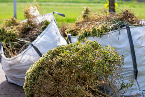 Best Garage Cleanout Services  in Croswell, MI